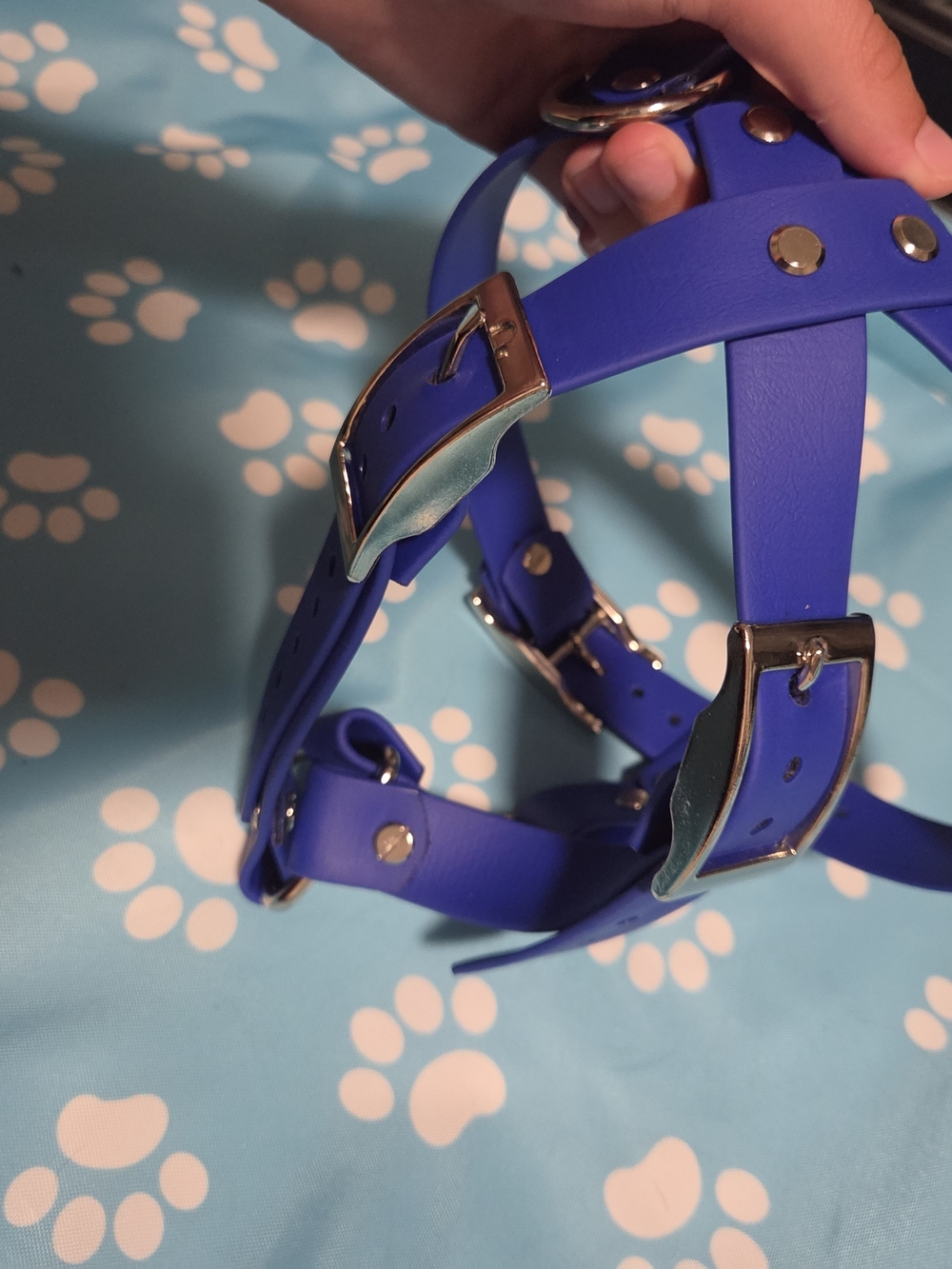 Blue Biothane Working Dog Harness